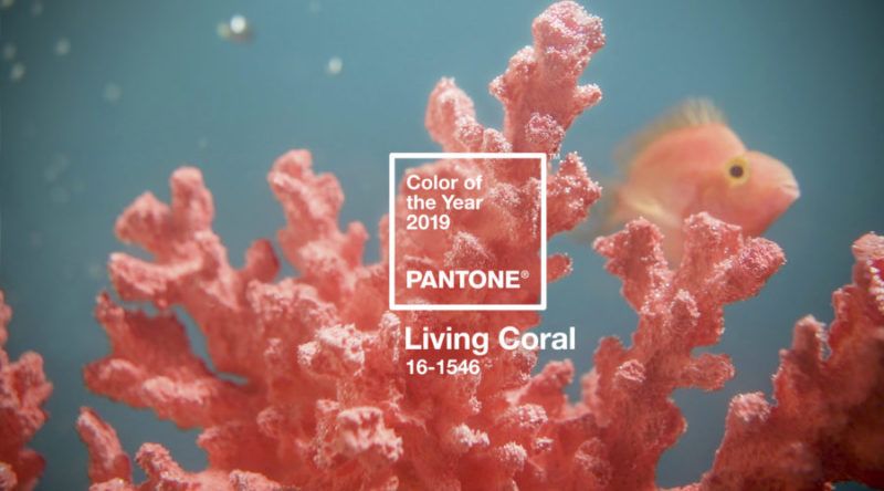 pantone coral