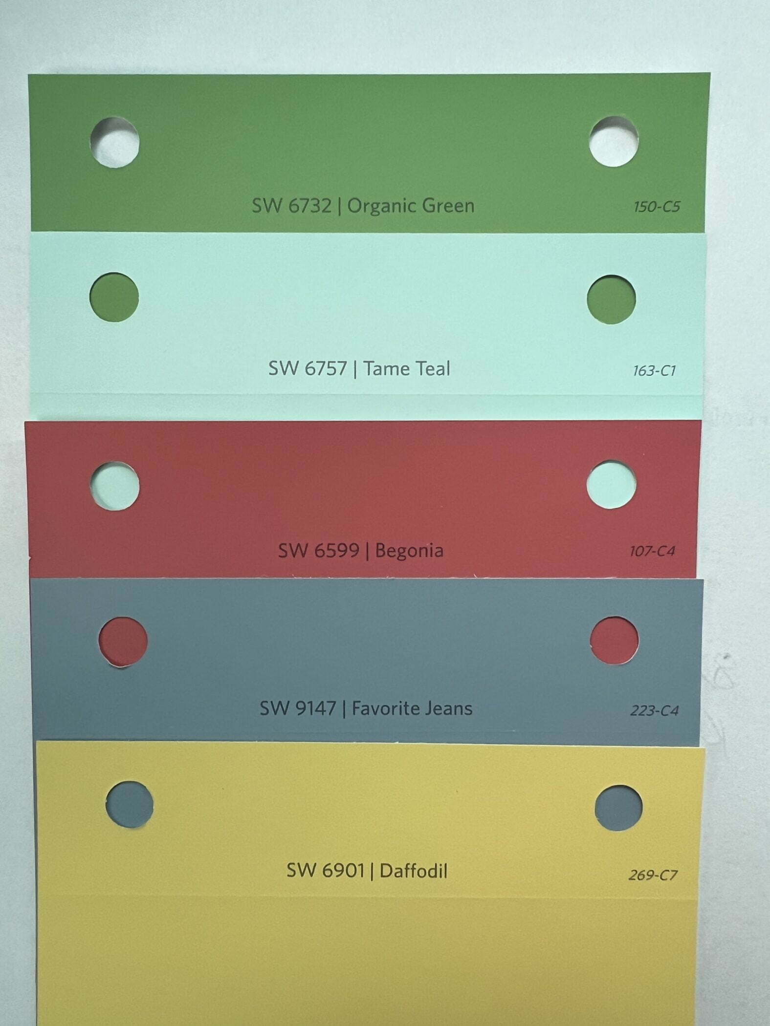 color swatches for paint